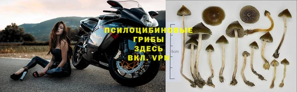 мдпв Армянск