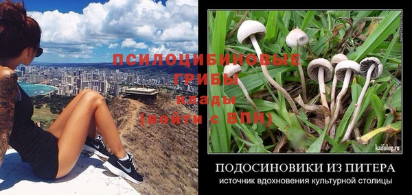 прущий лед Аркадак