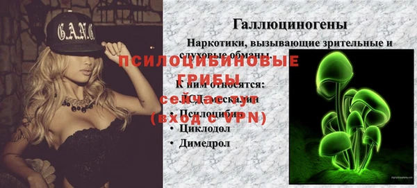 ALPHA PVP Богданович